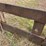 #6226-•-shop-made-mini-skid-steer-pallet-fork-attachment-image-16