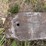 #6226-•-shop-made-mini-skid-steer-pallet-fork-attachment-image-12