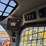 2021-caterpillar-259d3-image-18