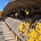 2017-komatsu-d61p-image-8