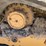 caterpillar-289c2-image-10