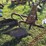 181---2-row-bottom-plow-image-1