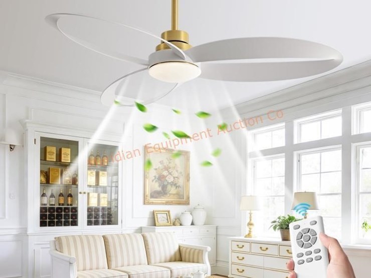 52"-ceiling-fan-with-lights-and-remote-image-1