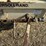 1995-ingersoll-rand-p185wjd-185-cfm-portable-air-compressor-image-11