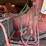 case-ih-1660-image-51