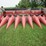case-ih-22-image-2