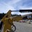 caterpillar-303-image-12