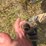 hesston-5540-image-11
