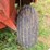 hesston-1091-image-18