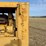 caterpillar-12-image-57
