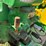 1951-john-deere-b-image-29