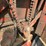 hesston-5540-image-43