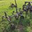 185---12"-spring-shank-cultivator-image-1