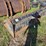 252---94"-hd-bucket-for-frontend-loader-image-3