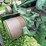 john-deere-50-image-27
