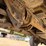 2008-ford-f250-xlt-image-17