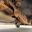 2010-ford-f150-lariat-image-32