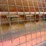westfield-10x61-image-10