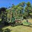 john-deere-2210-image-21