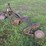 180---massey-ferguson-2-row-bottom-plow-image-3