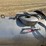 pak-tank-300-gallon-stainless-steel-tank-image-8