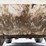 2022-bobcat-s62-image-50