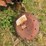 hesston-5540-image-21