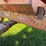 ez-trail-1074-image-13