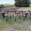 case-ih-55-image-6
