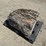 large-crinoid-fossil-rock-from-limestone-quarry-image-2