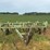 john-deere-1610-image-2
