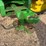 2006-john-deere-8430t-image-17