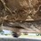 2022-bobcat-s62-image-52