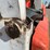 2003-bobcat-t300-image-22