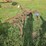 184---8-row-cultivator-image-4