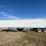 2007-timpte-grain-trailer-image-2