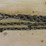 3/8”-x-12’-chain-w/1-hook-image-1