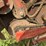 hesston-5540-image-40