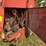 hesston-5540-image-39