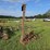 190---alis-chalmers-sickle-mower-image-3