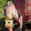 new-holland-355-image-21