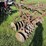 massey-ferguson-7-image-3
