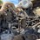 1994-kenworth-t600-image-84