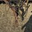 van-brunt-grain-drill-image-9