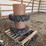 11.2-24-tractor-tires-on-rims-w/-wheel-spacers-image-2