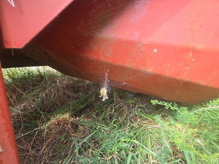 hesston-1091-image-21