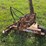 190---alis-chalmers-sickle-mower-image-5