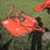 land-pride-rcr1260-image-4