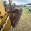 1995-caterpillar-426b-image-15
