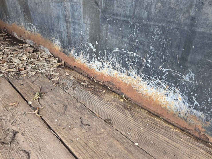 1995-diamond-d-image-16